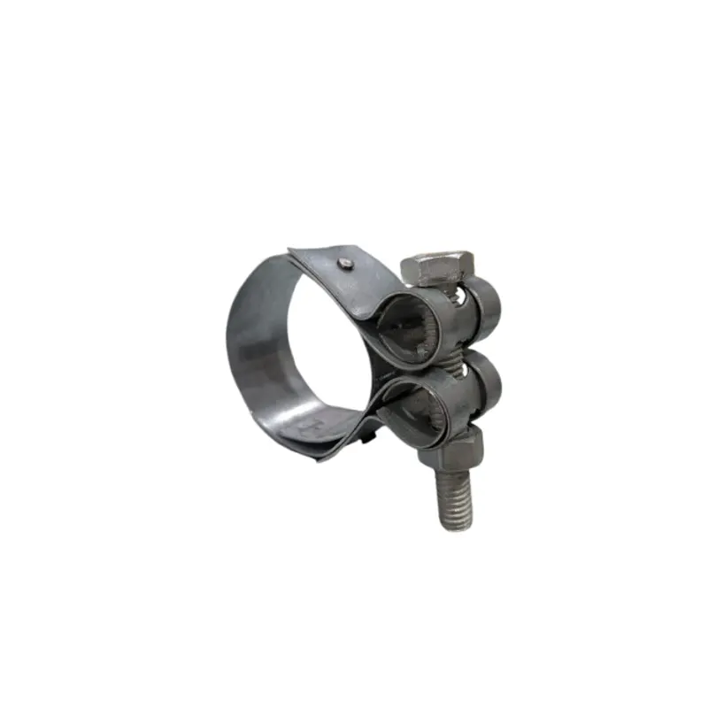 Ajanta Clips